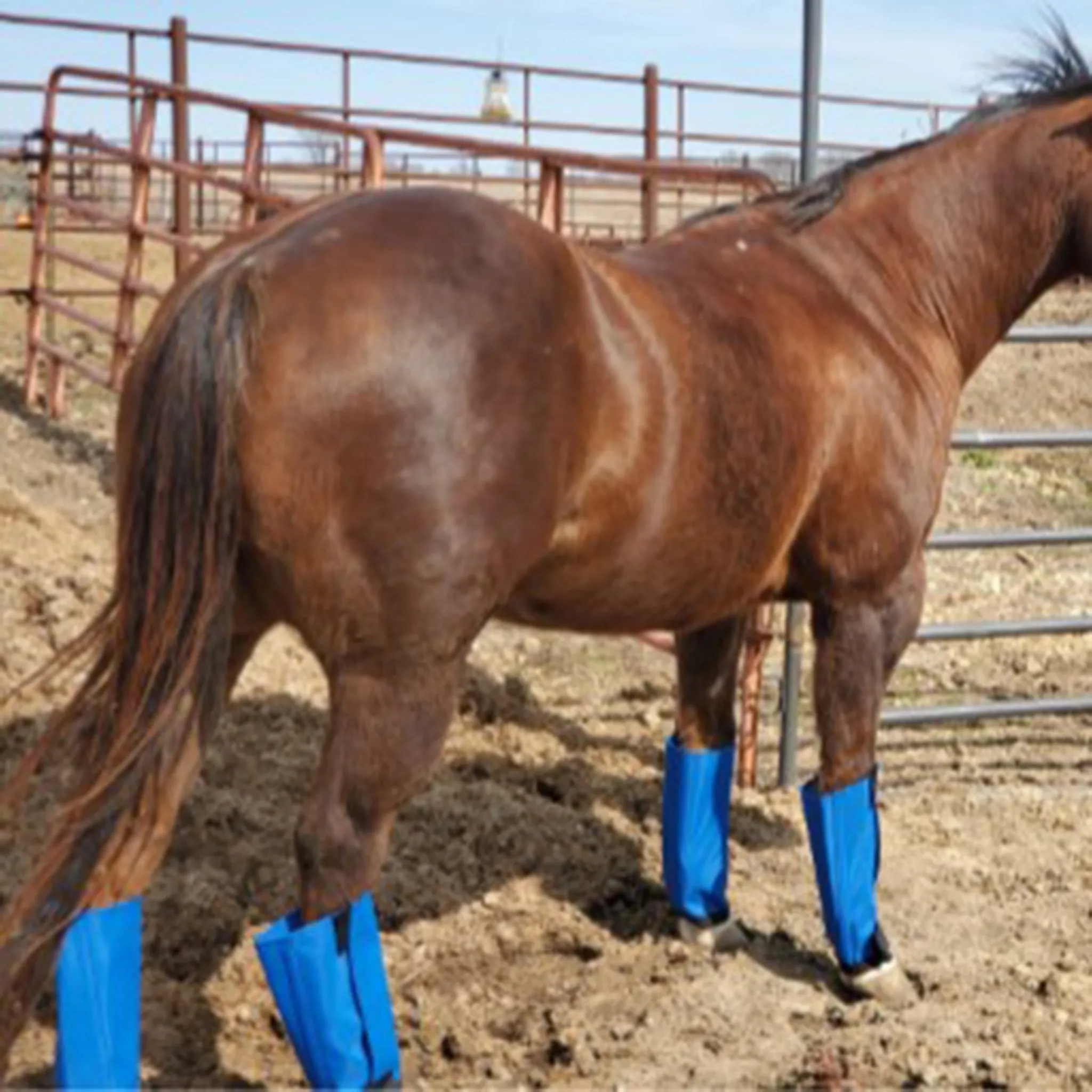 Fly Free Insect Protection Boots - BLUE